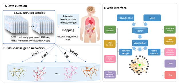 Diagram Description automatically generated with low confidence