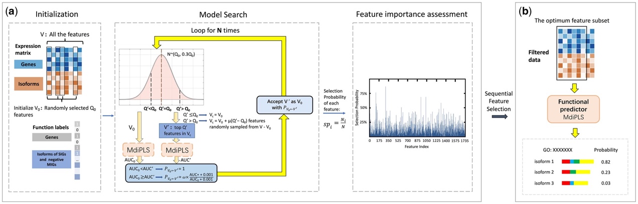 Schematic of Isofrog. (a) An RJMCMC-based feature selection framework for assessing the importance of each feature to the function of interest. (b) The predictor MdiPLS using the selected features for isoform function prediction.